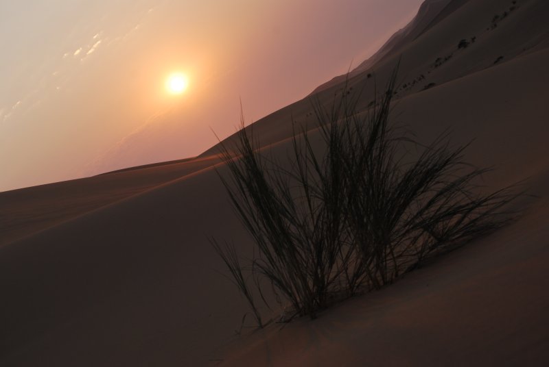 Tramonto nel deserto