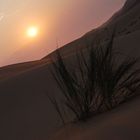 Tramonto nel deserto