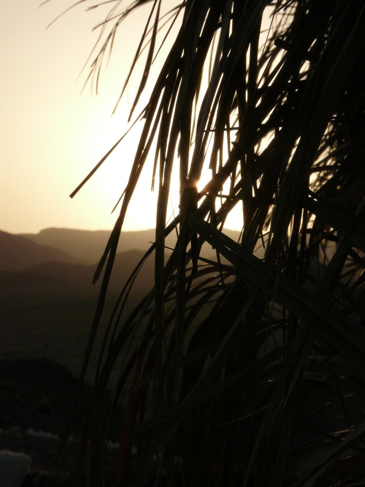 tramonto nel deserto