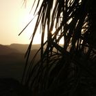 tramonto nel deserto