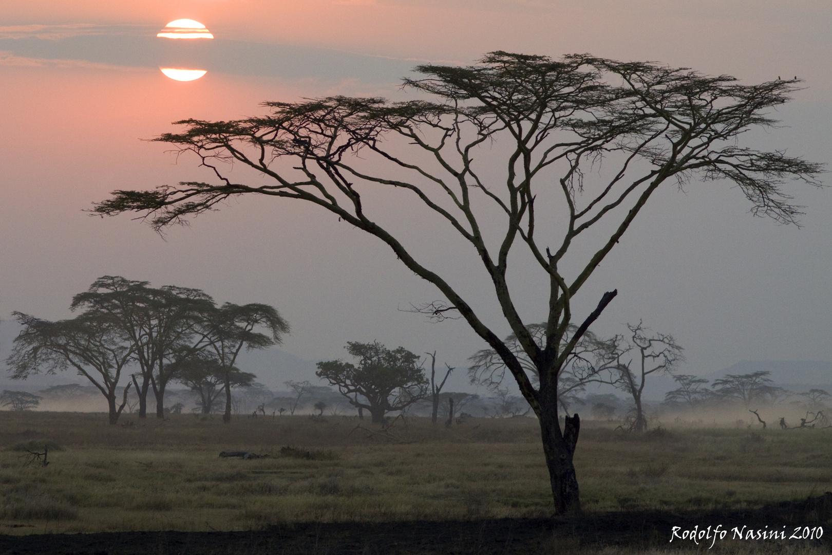 Tramonto nel Serengeti