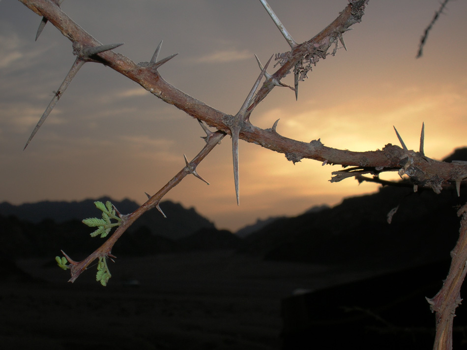 tramonto nel Sinai