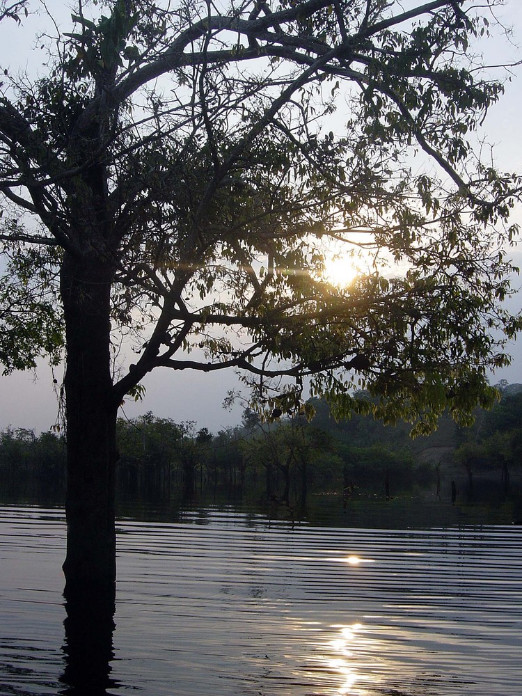 tramonto nella foresta amazzonica