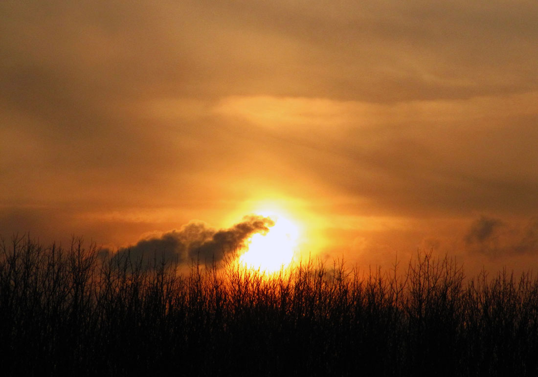 Tramonto nella... savana?