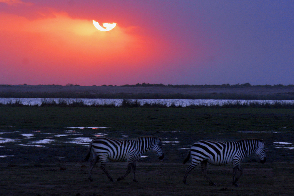 Tramonto nella savana...