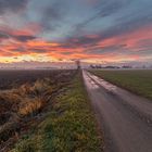 Tramonto nelle campagne Piemontesi