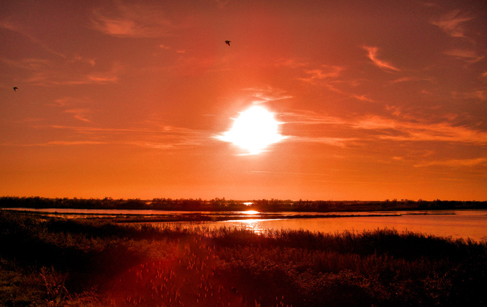 Tramonto nelle valli del Delta del Po.