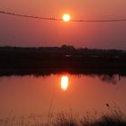 Tramonto nell'oasi protetta di Cervia