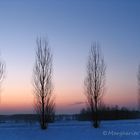 Tramonto padano