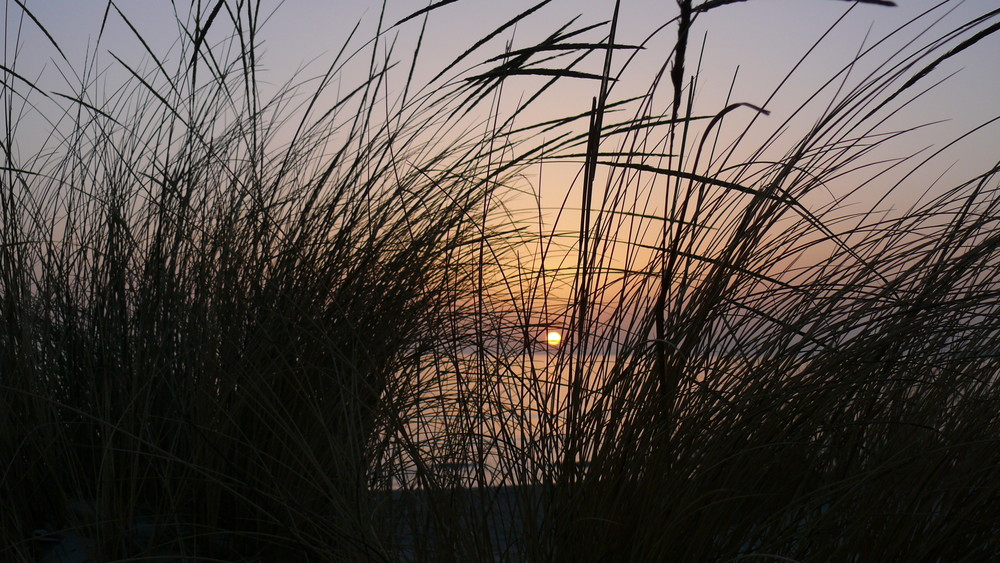 tramonto portopino dalle dune tra i cespugli