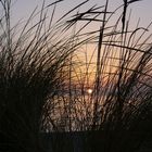 tramonto portopino dalle dune tra i cespugli