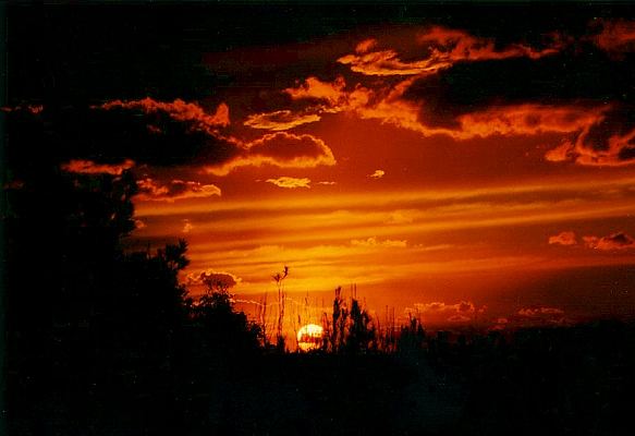 Tramonto primaverile