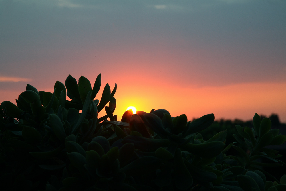 Tramonto Romagnolo 2