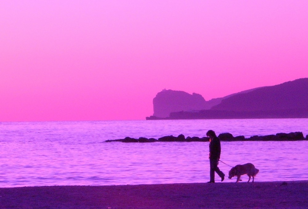 tramonto rosa su alghero