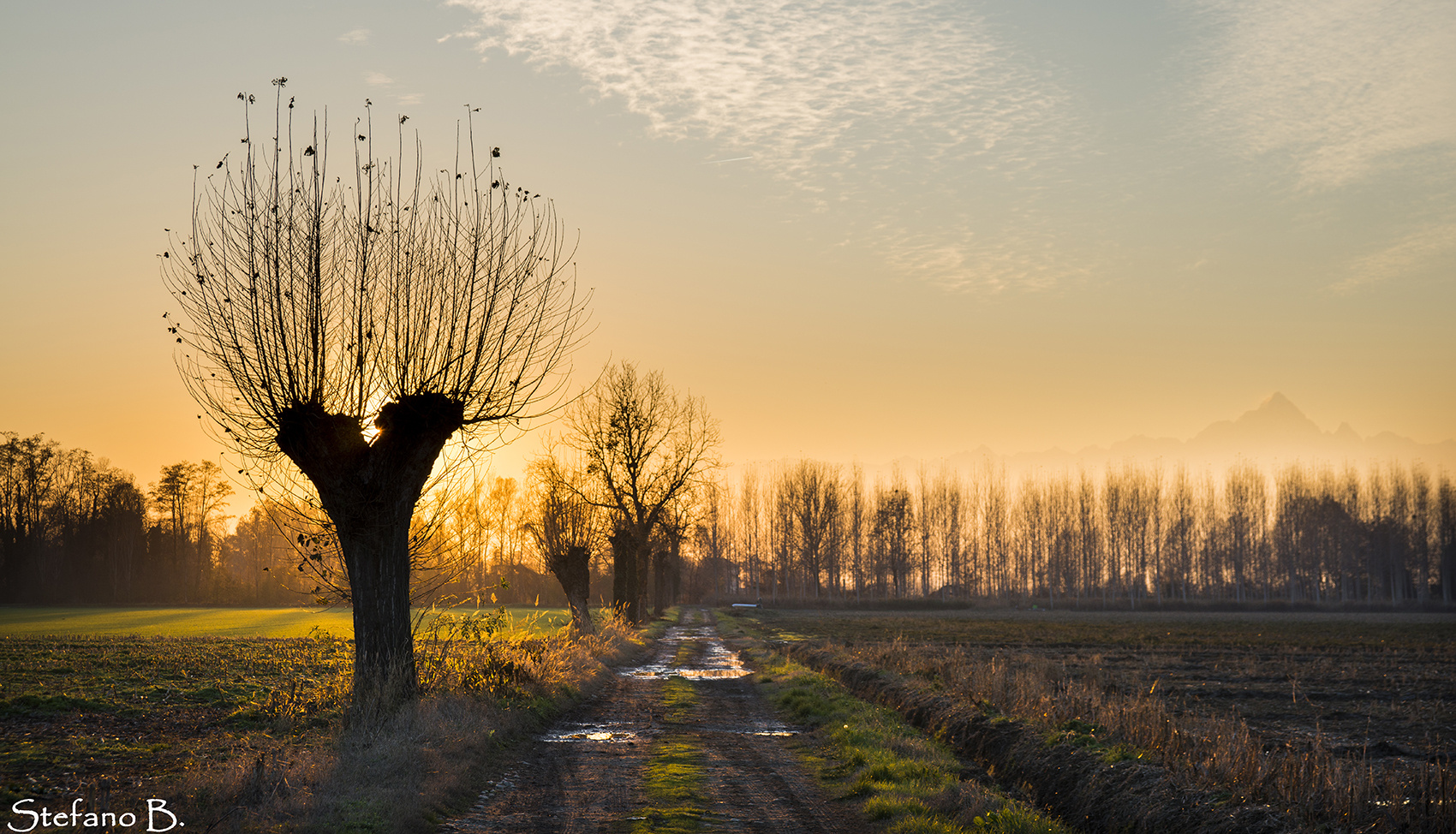 Tramonto Rurale