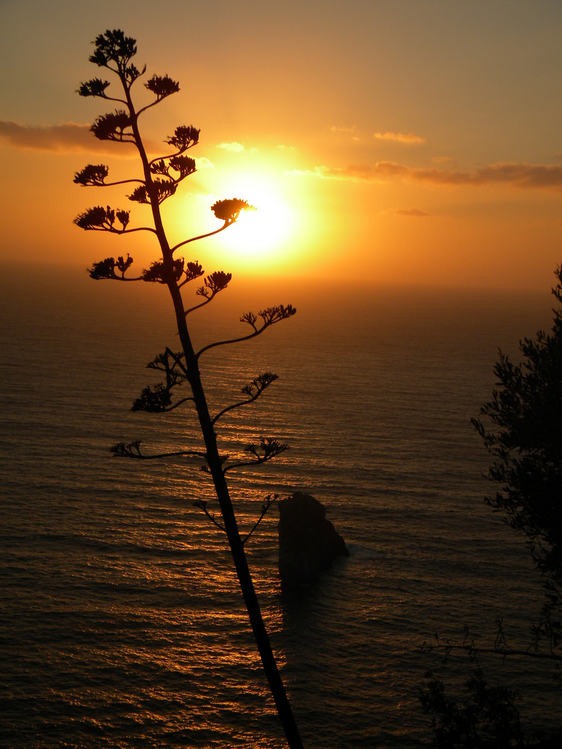 tramonto sardo