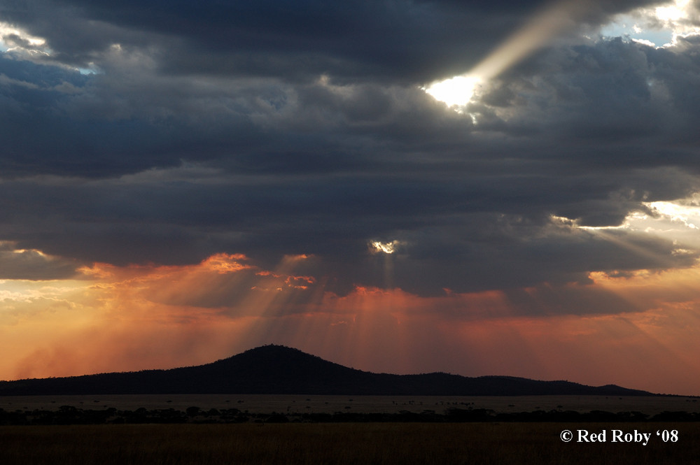 Tramonto Serengeti (Tanzania)