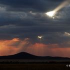 Tramonto Serengeti (Tanzania)