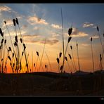 Tramonto siculo