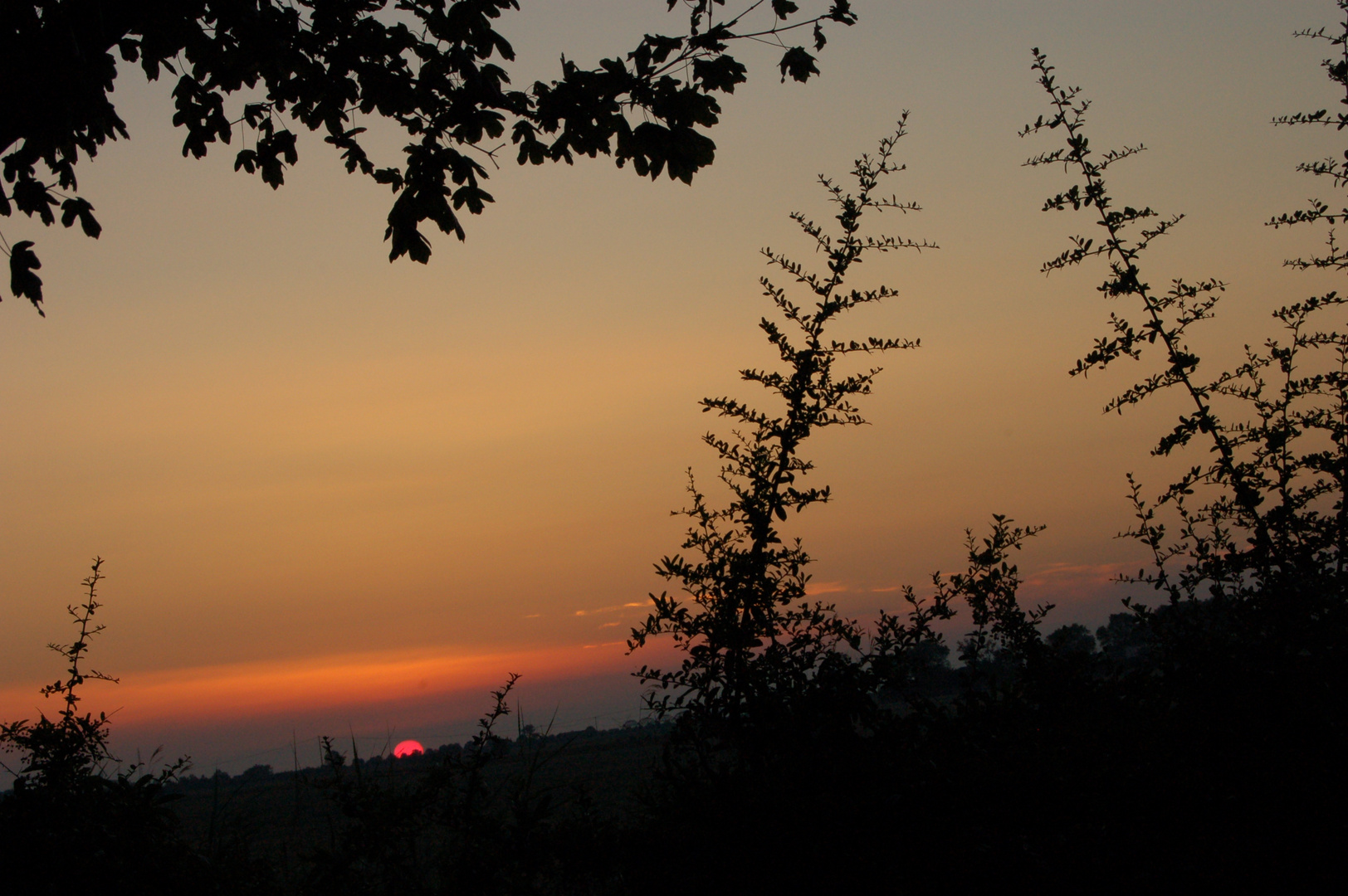 tramonto sui campi di Casalborsetti