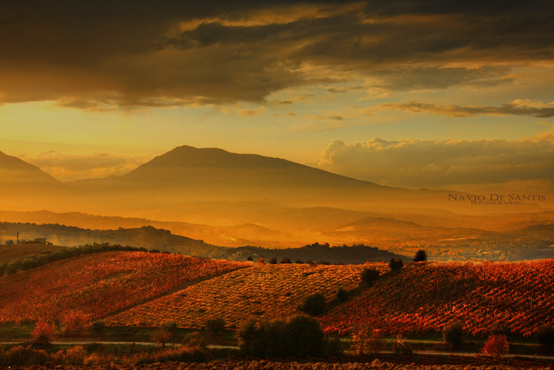 Tramonto sui vigneti