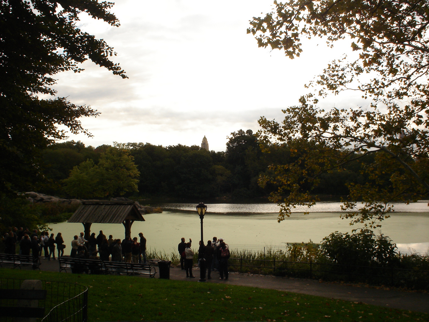 Tramonto sul Central Park, New York