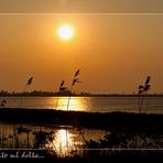 Tramonto sul delta....