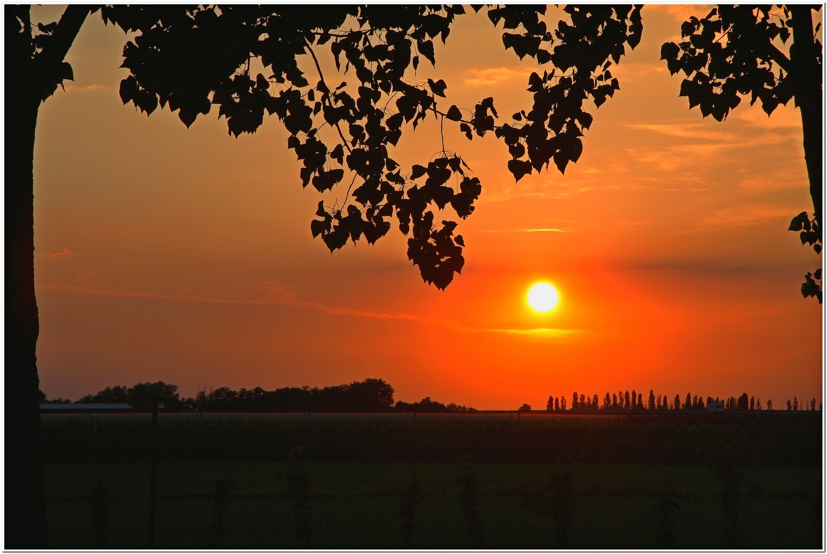 Tramonto sul Delta del Pò!