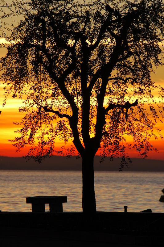 tramonto sul garda