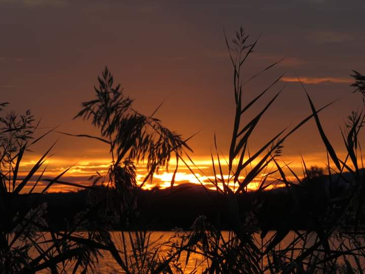 Tramonto sul lago di Annone