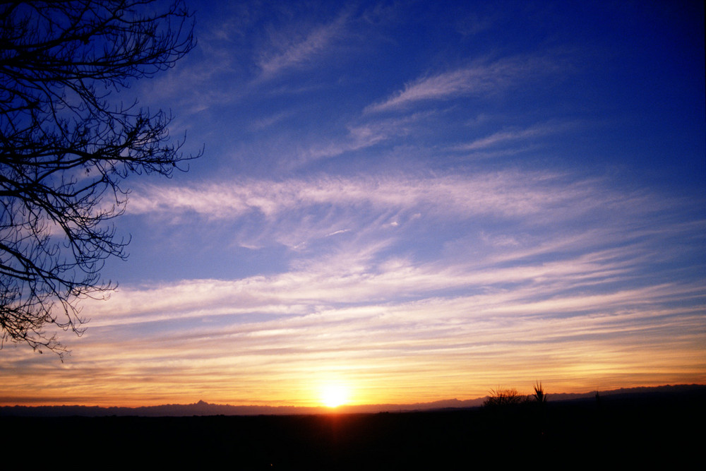 TRAMONTO SUL MONFERRATO