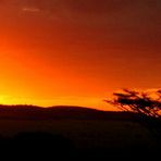 tramonto sul serengeti