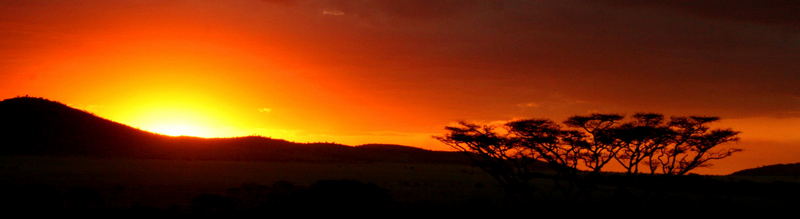 tramonto sul serengeti