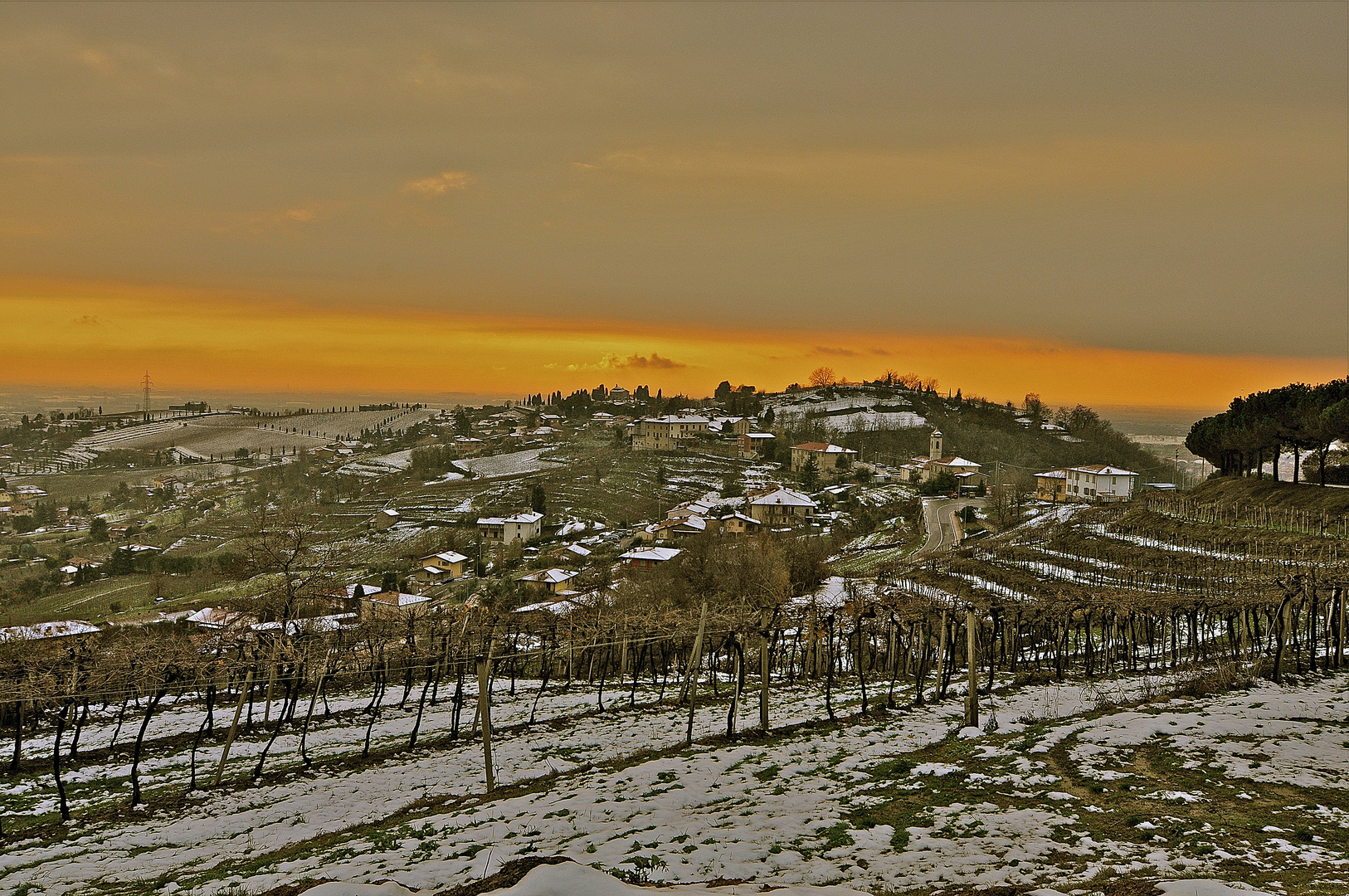 tramonto sul vigneto