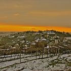 tramonto sul vigneto