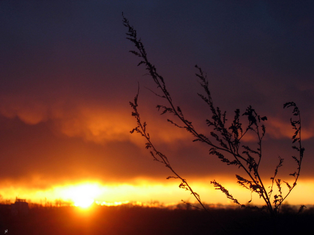 Tramonto sulla mia terra