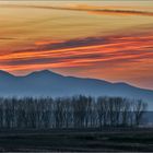 tramonto sulla palude  ......(toscana )