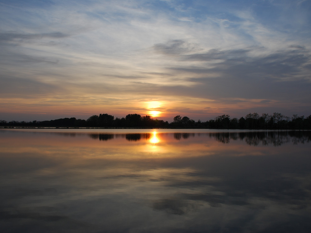 Tramonto sulla risaia