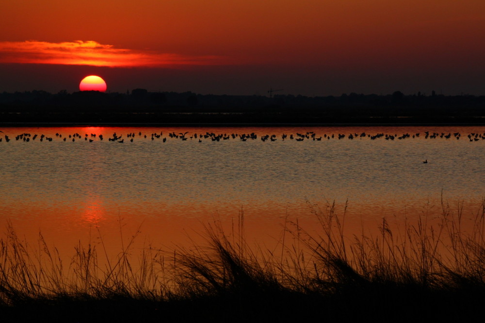 Tramonto sulla salina