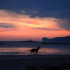 Tramonto sulla spiaggia di Alghero