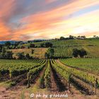 Tramonto sulla strada del Sagrantino