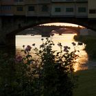 Tramonto sull'Arno