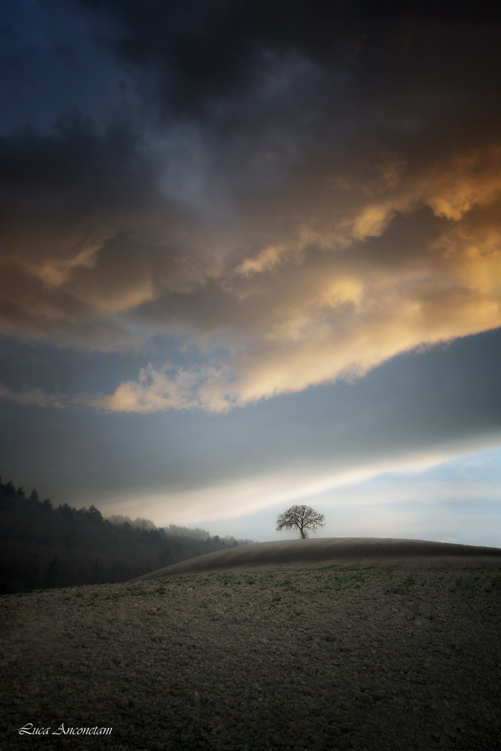 Tramonto sulle colline