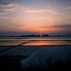 tramonto sullo stagnone di Marsala