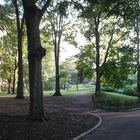 Tramonto tra gli alberi del Central Park, New York