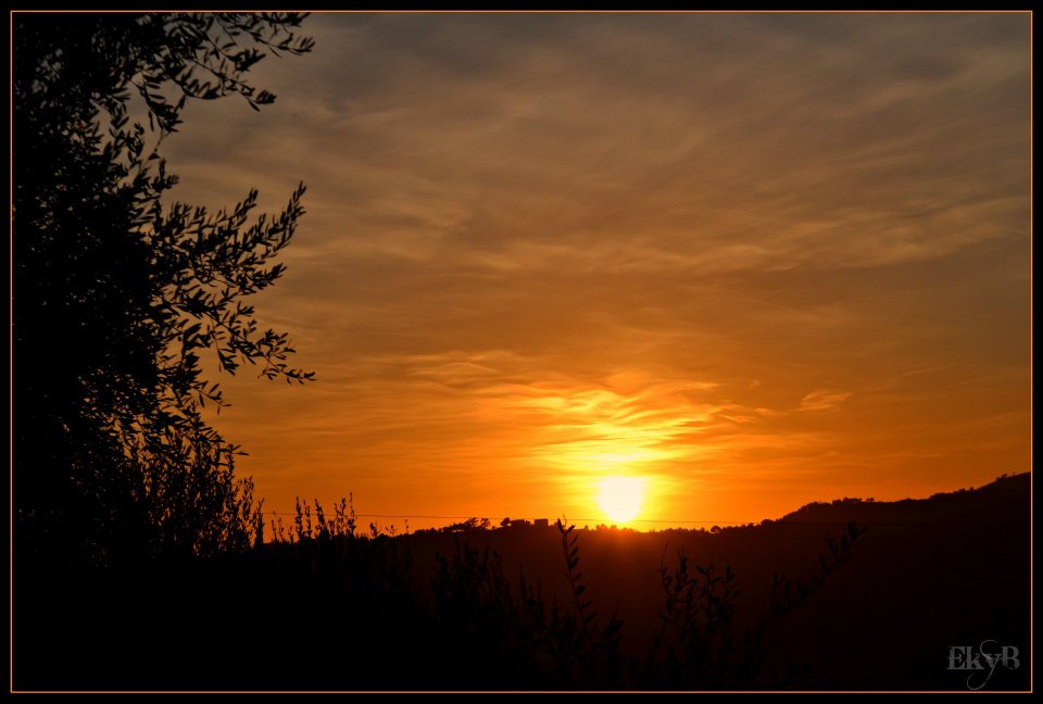 Tramonto... tra gli ulivi!