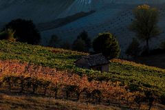 Tramonto tra i vigneti (2)