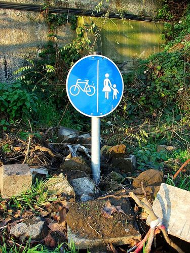 Trampelpfad für Mountainbiker und Bergsteiger...