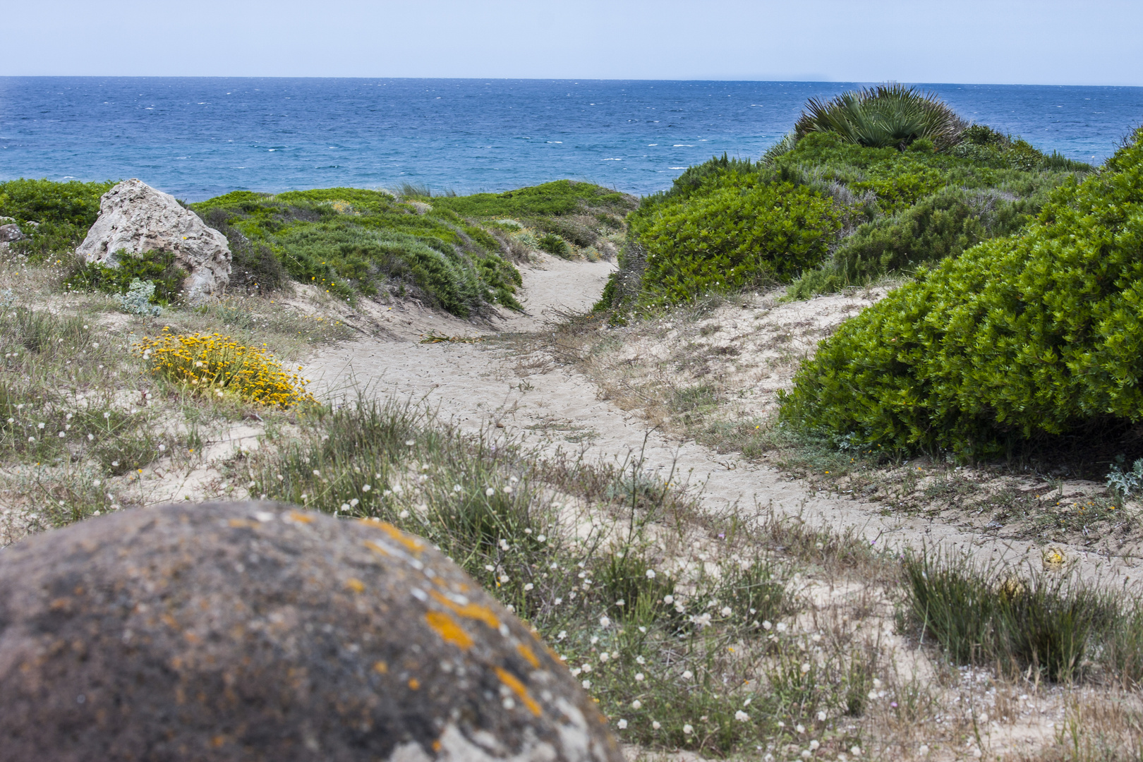 Trampelpfad zum Strand