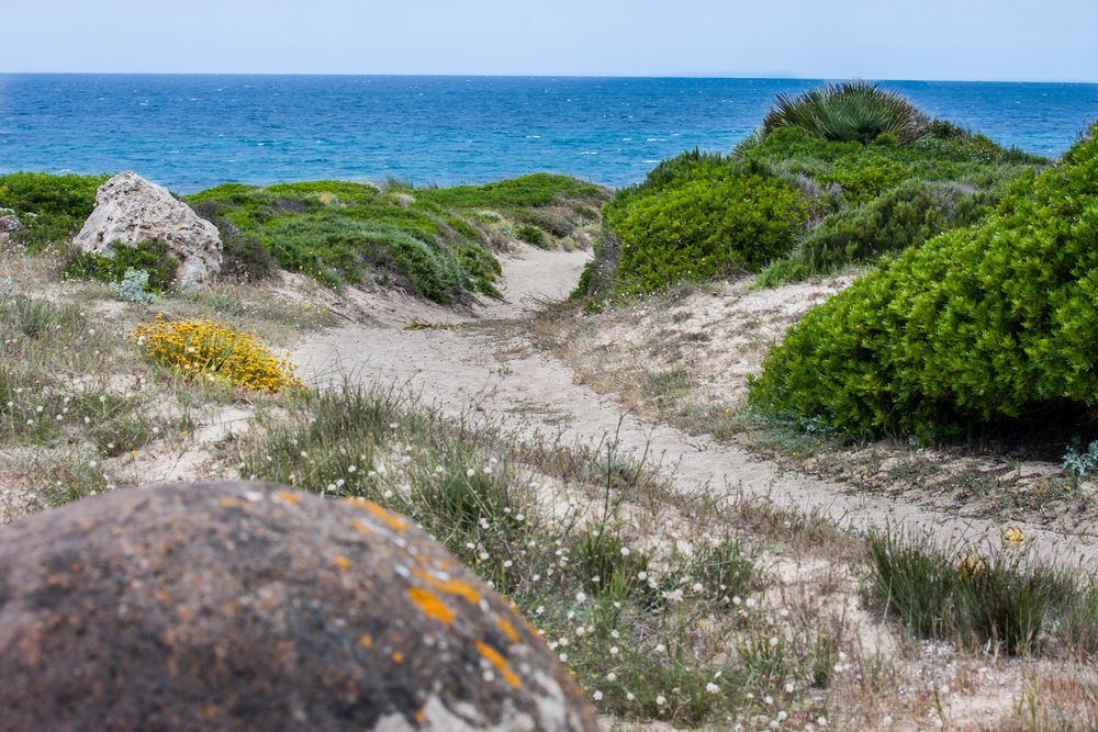 Trampelpfad zum Strand